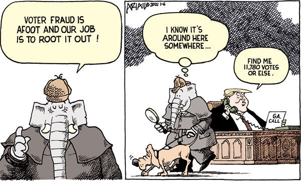 Voter Fraud